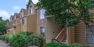 Brightwaters at Redhawk Gallery 8