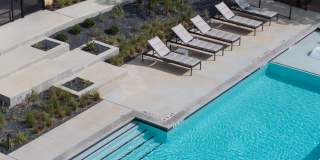 The Markson Gallery 9