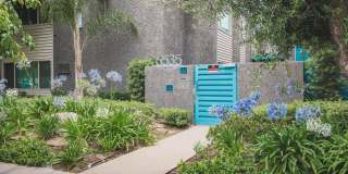 6535 Haskell Avenue Gallery 6