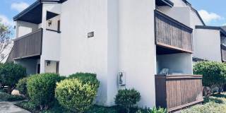 Park Villa South Studio with Murphy Bed Gallery 1