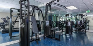 Skyline Terrace Apartments Gallery 15