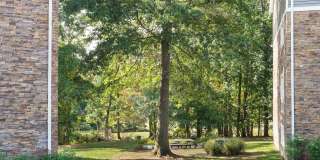 Oakland Hills Gallery 13