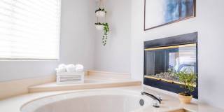 Ocotillo Private Oasis & Pool (May - October Monthly Only | No Long Term Rentals) Gallery 30