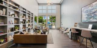 Park & Market Gallery 19