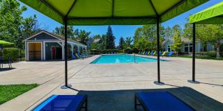 Rocklin Ranch Gallery 30