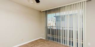 Surfcaster Gallery 20