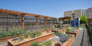 Jesse Quinn Apartments Gallery 3