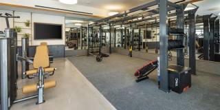 Lilia Waikiki Gallery 26