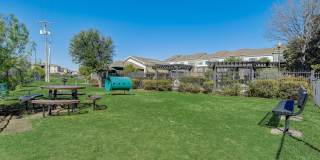 Skyview West Gallery 33