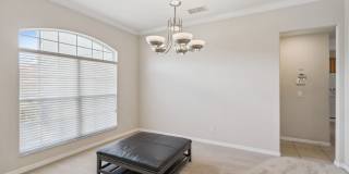 New Rental! Gallery 10