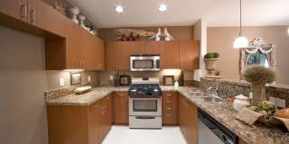 Lexington at Fedora Gallery 4