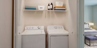 Mallside Forest Gallery 9