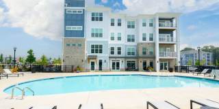 Indigo at Berewick Gallery 14