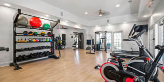 Houston Lake Gallery 15