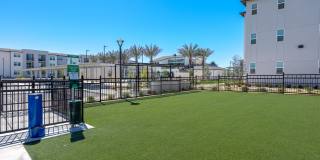Desert Meadows Townhomes Gallery 26
