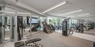Revl Med Center Gallery 29