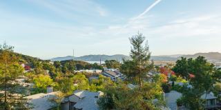 Larkspur Courts Gallery 15