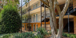 Selwyn Flats Gallery 40