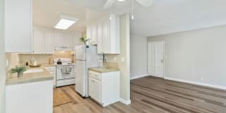 Pebble Creek Gallery 11