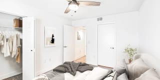 Palm Trace Landings Gallery 56