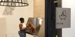 The Laureate Gallery 23