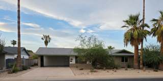 308 E ELLIS Drive 308 E ELLIS Drive Gallery 1