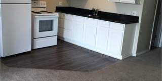251 Tenney - I Gallery 1
