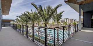 5436 Gracen Way Gallery 19