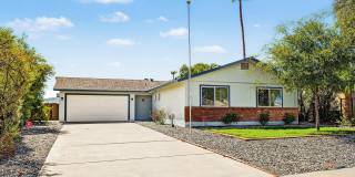 FULLY REMODELED 4 bedroom, 2 bath in Phoenix! FULLY REMODELED 4 bedroom, 2 bath in Phoenix! Gallery 1