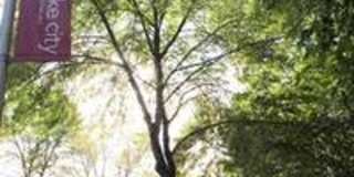 The K Group Villager, LLC Gallery 66