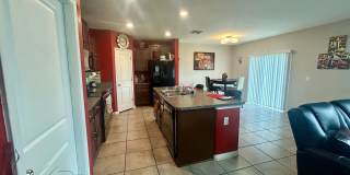 Beautiful 4-Bedroom Home for Rent in Wimauma, FL – Exceptional Value and Amenities Gallery 6