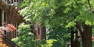 384 Bergen Street Gallery 14