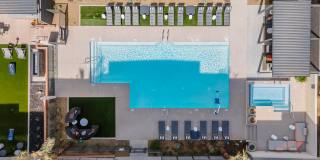 Blume on Central Gallery 7