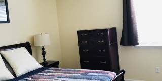 9217 Springwood Court Gallery 5
