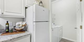 The Paxton Gallery 9