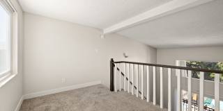 Chatsworth Plaza Gallery 3