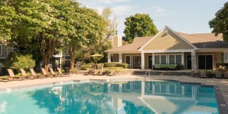 Steeplechase Gallery 30