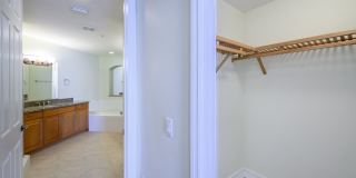 PET FRIENDLY UNFURNISHED ELEVATED PENTHOUSE LIVING WITH PRIVATE ELEVATOR Gallery 32