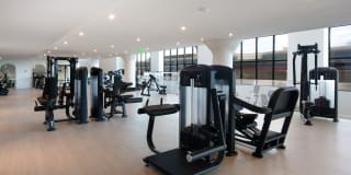 The Poplar Gallery 30