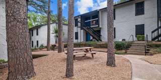 River Oaks Gallery 19