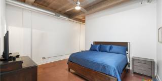 222 Losoya Gallery 28