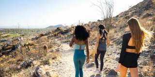 Canopy at Sundance Gallery 78