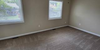 152 SEAGULL Gallery 13