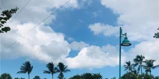 1200 Gulf Shore Blvd N unit: 404 Gallery 34