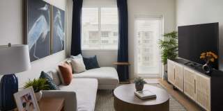 Tortoise One Gallery 8