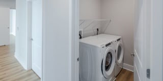 Avalon 555 President Gallery 7