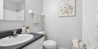 Timbercreek Gallery 5