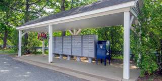 The Willows Gallery 15
