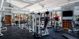 Montierra Gallery 14