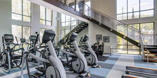 Caroline Uptown West Gallery 7